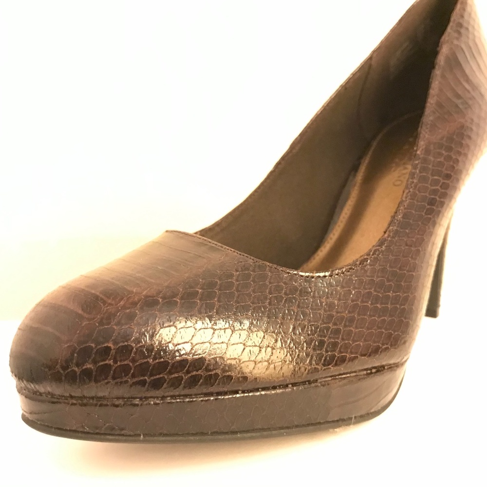 Brown and Black Snake Print Pump 10
